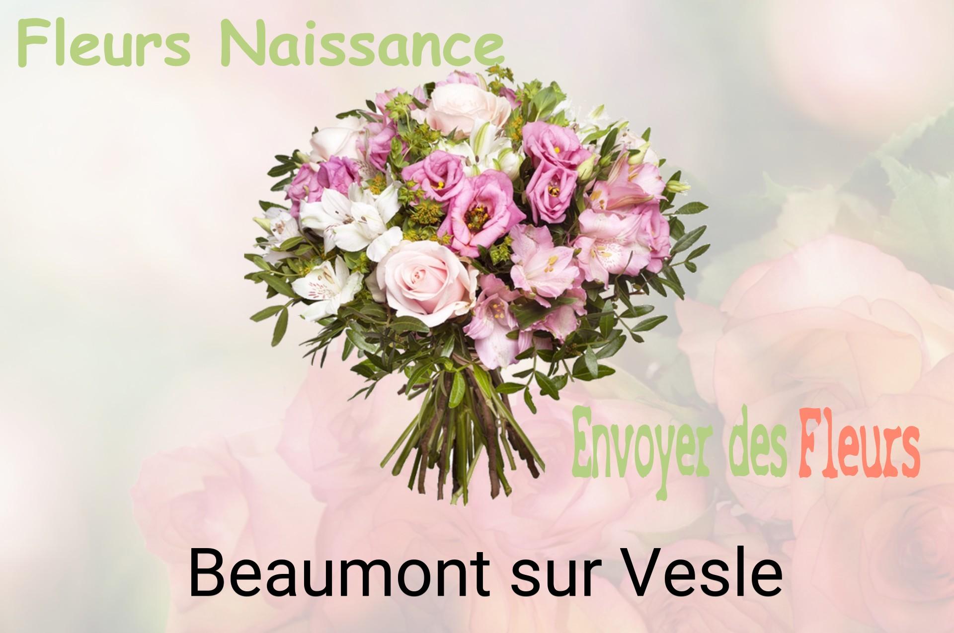 Bouquet de fleurs de naissance livré à Beaumont-sur-Vesle